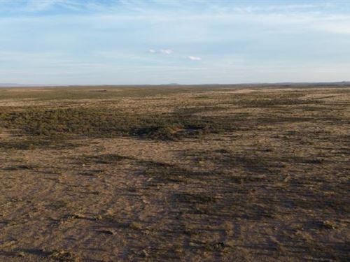 Hard-To-Find 10.001-Acre Sierra : Sierra Blanca : Hudspeth County : Texas