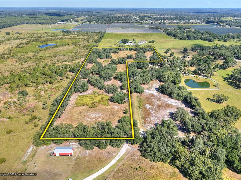 Moccasin Hollow Road Homesites : Lithia : Hillsborough County : Florida