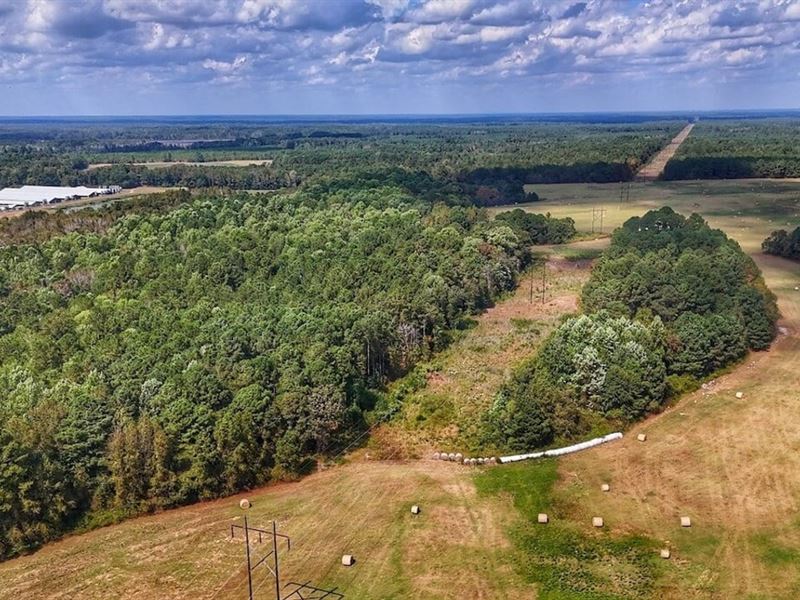 9 Acres of Recreational Land for Sa : White Oak : Bladen County : North Carolina