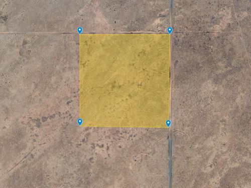 Secluded 40 Acre Arizona Getaway : Holbrook : Navajo County : Arizona