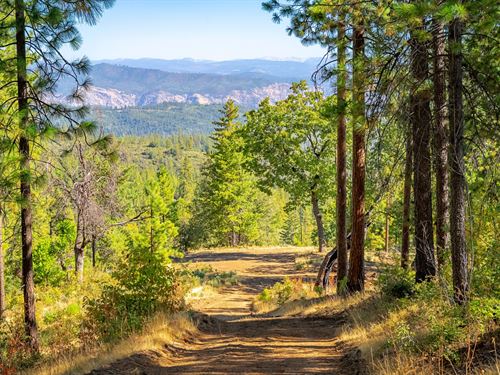 Greeley Hill Forest Vista : Coulterville : Tuolumne County : California