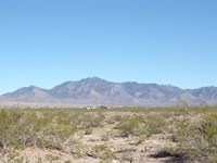 Peace, Privacy & Investment : Dolan Springs : Mohave County : Arizona