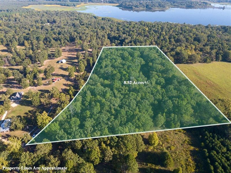 8 Acres, County Road 2600 : Mount Pleasant : Titus County : Texas