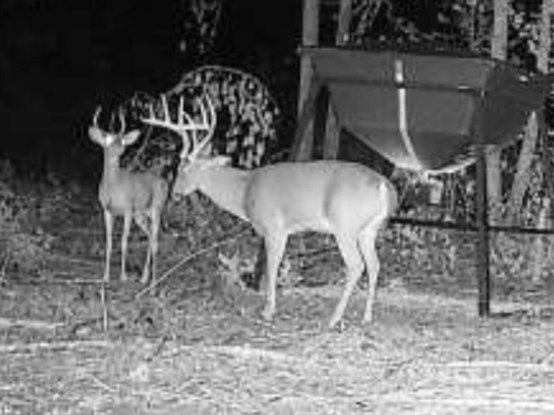 92 Acres Lonoke County Hunting : Lonoke : Lonoke County : Arkansas