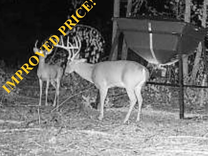 92 Acres Lonoke County Hunting : Lonoke : Lonoke County : Arkansas