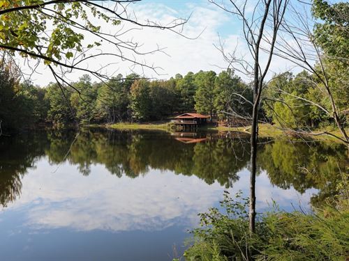 206-Acre Sanctuary on Crowley's Rid : Piggott : Clay County : Arkansas