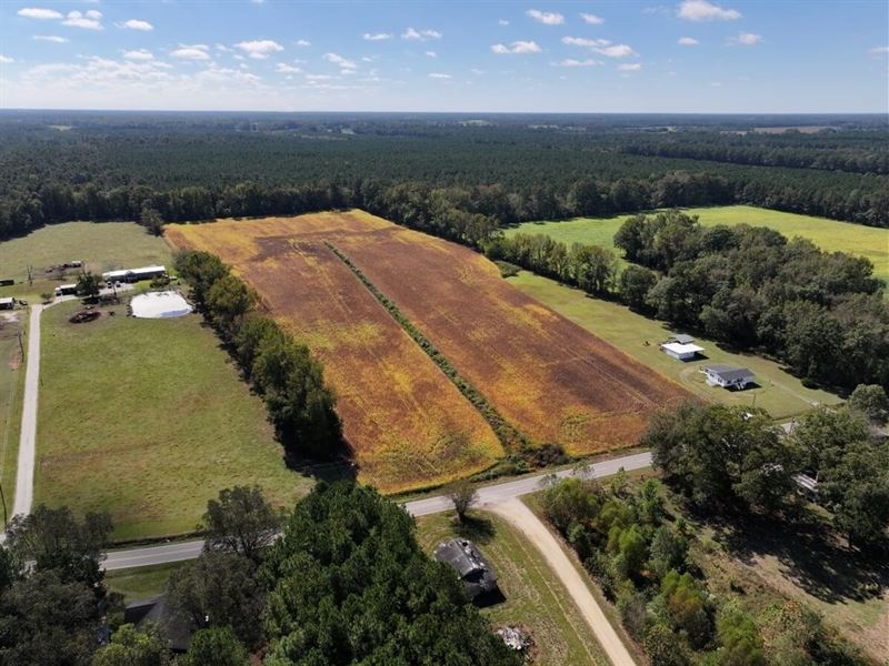 21.48 Acres of Farmland & Timbe : Mount Olive : Wayne County : North Carolina
