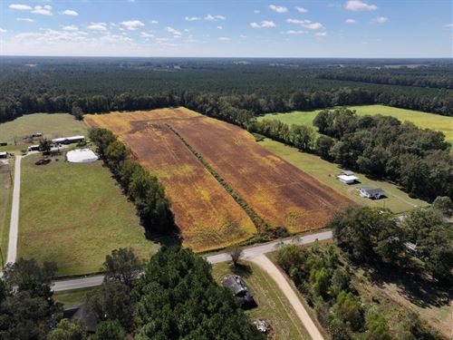 21.48 Acres : Mount Olive : Wayne County : North Carolina