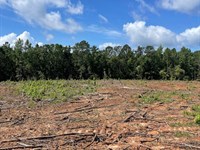 Allen Rd, 8 Point Rd 10 Ac Taylor : Butler : Taylor County : Georgia