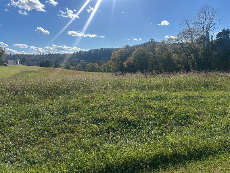 Multiple Building Lots : Burkesville : Cumberland County : Kentucky