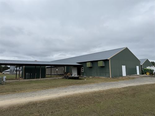 Three House Breeder Poultry Farm : Pitts : Wilcox County : Georgia