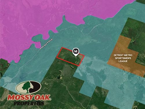 80 Acres, Germfask, Mi, Schoo : Germfask : Schoolcraft County : Michigan