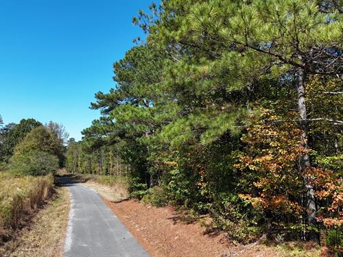 10 Acres. Endless Possibility : Sand Rock : Cherokee County : Alabama