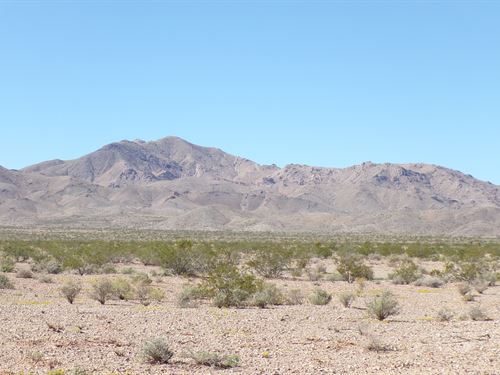 5 Acres in Golden Valley by Blm : Golden Valley : Mohave County : Arizona