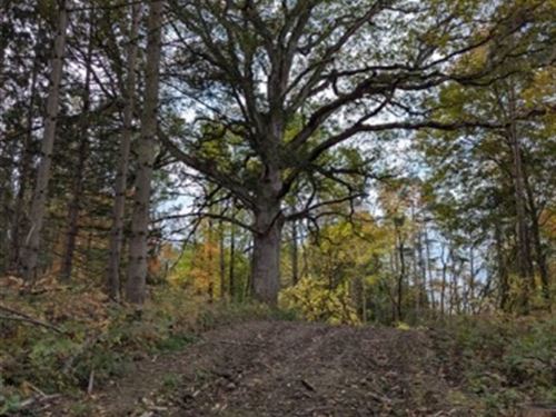 60 Acres in Sennett : Sennett : Cayuga County : New York