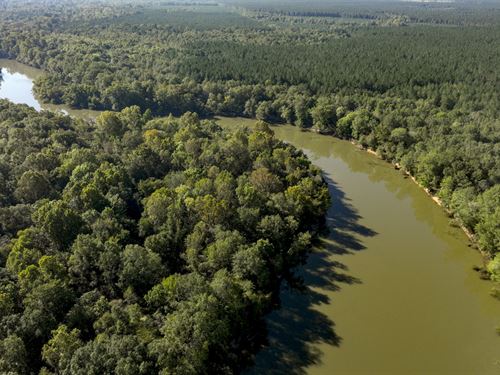 Dodge County River Property : Rhine : Dodge County : Georgia