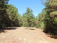 Private and Peaceful 10.17 Acres : Grady : Montgomery County : Alabama