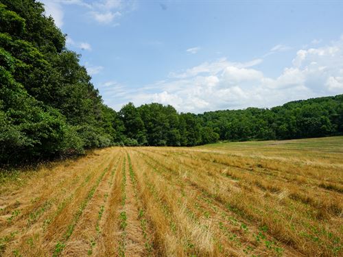 Twp Rd 51 Lot 9 15.25 : Somerset : Perry County : Ohio