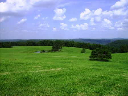 Bear Creek Farm : Tilly : Searcy County : Arkansas
