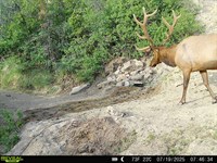 Secluded Colorado Hunting Retreat : Grand Junction : Mesa County : Colorado