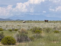 5.09 Acres for Tiny & Mobile Homes : San Luis : Costilla County : Colorado