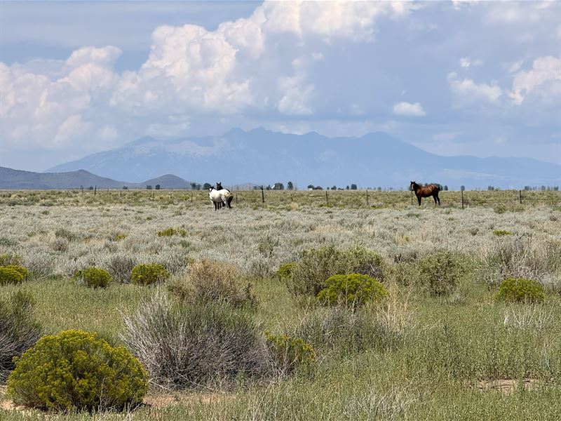 5.09 Acres for Tiny & Mobile Homes : San Luis : Costilla County : Colorado