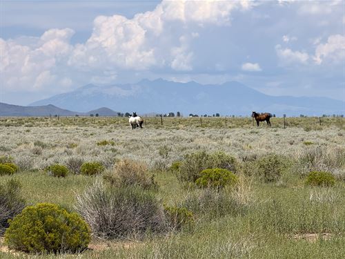 5.09 Acres for Tiny & Mobile Homes : San Luis : Costilla County : Colorado
