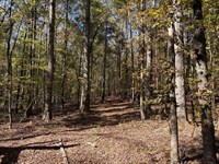 Acreage Homesite North of Zebulon : Zebulon : Pike County : Georgia