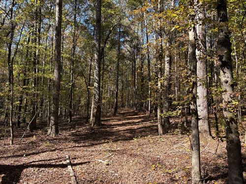 Acreage Homesite North of Zebulon : Zebulon : Pike County : Georgia