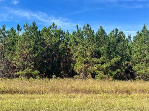 24.06 Acres on Jamestown Rd : Waycross : Ware County : Georgia