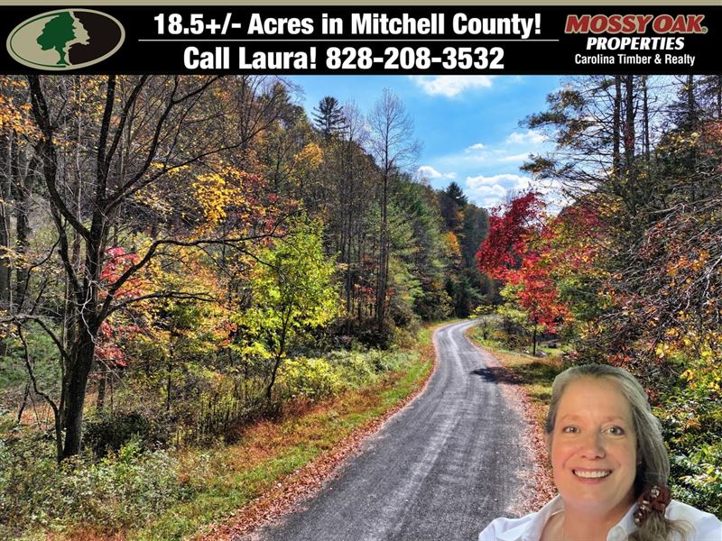 18.54 Acres of Unrestricted Moun : Green Mountain : Yancey County : North Carolina