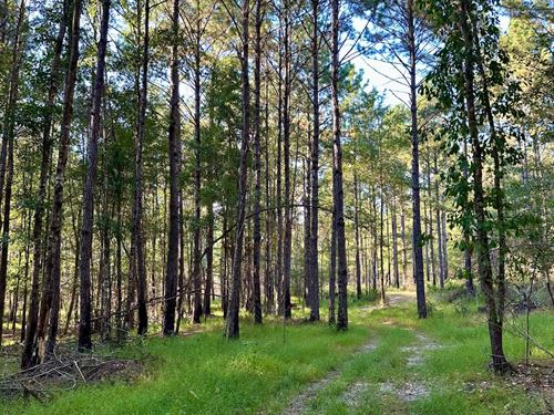 623 Acres Patsaliga River : Andalusia : Covington County : Alabama