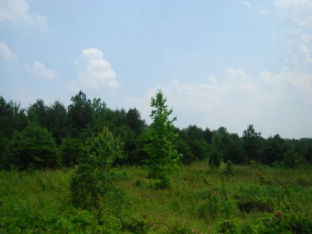 17.8 Acres : Chesnee : Spartanburg County : South Carolina