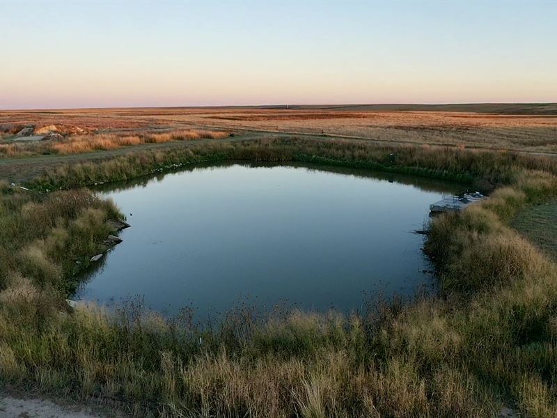 Edson Wildlife Haven : Edson : Sherman County : Kansas