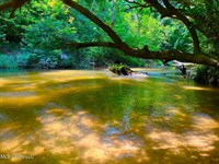 41 Acres Near Sandy Hook, Mississip : Sandy Hook : Walthall County : Mississippi