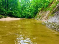 40.22 Acres Near New Hebron, Missis : New Hebron : Simpson County : Mississippi