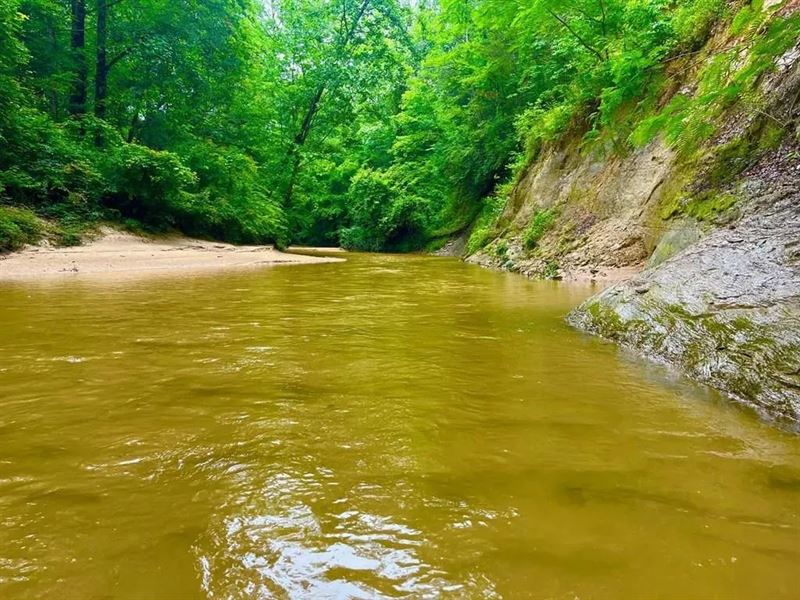 40.22 Acres Near New Hebron, Missis : New Hebron : Simpson County : Mississippi