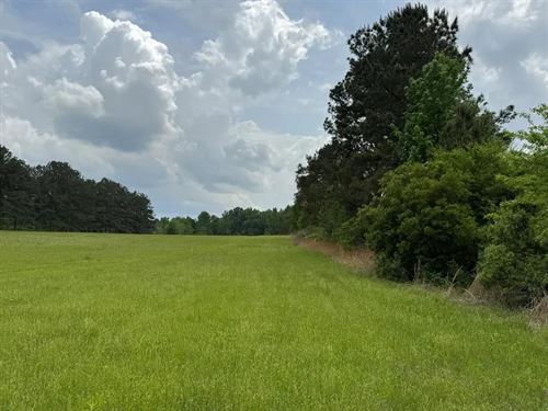 59 Acres Near Terry, Mississippi : Terry : Hinds County : Mississippi