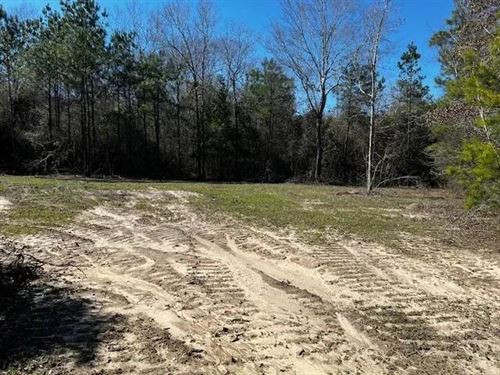 6.5 Acres Near Sandy Hook, Mississi : Sandy Hook : Walthall County : Mississippi
