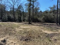 6 Acres Near Sandy Hook, Mississipp : Sandy Hook : Walthall County : Mississippi