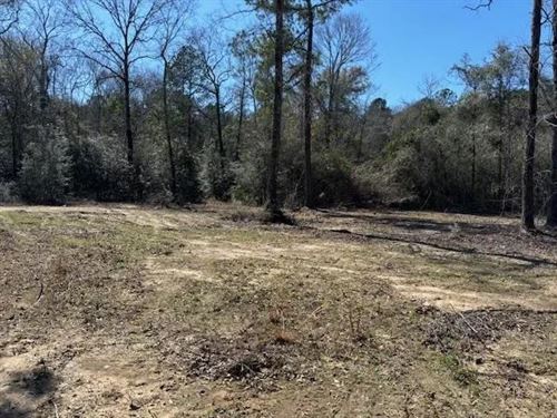 6 Acres Near Sandy Hook, Mississipp : Sandy Hook : Walthall County : Mississippi