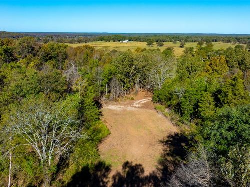 40 Acres, Wooded, Hunting Proper : Sidney : Sharp County : Arkansas