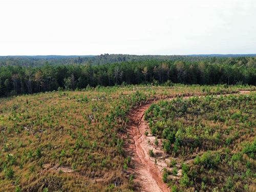 57 Acres North Pickens County : Ethelsville : Pickens County : Alabama