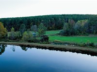 333 Ponds, Plots, & Wildlife : Collinwood : Wayne County : Tennessee