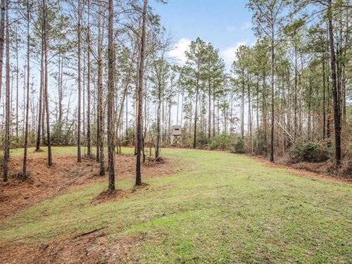 100 Acres in West Feliciana With 2 : Saint Francisville : West Feliciana Parish : Louisiana