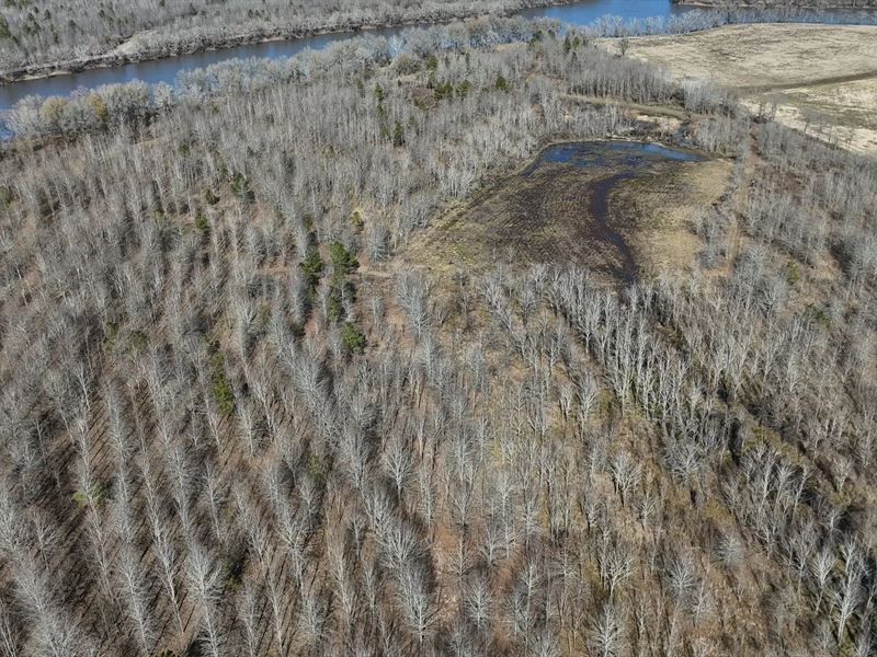 Duck and Deer Hunting Land : Jonesville : Catahoula Parish : Louisiana