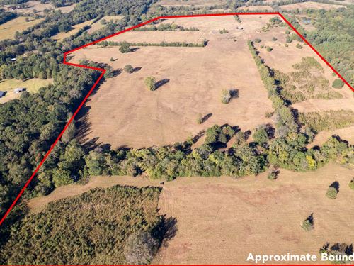 Prime Land Opportunity 140 Acres : Mount Pleasant : Titus County : Texas