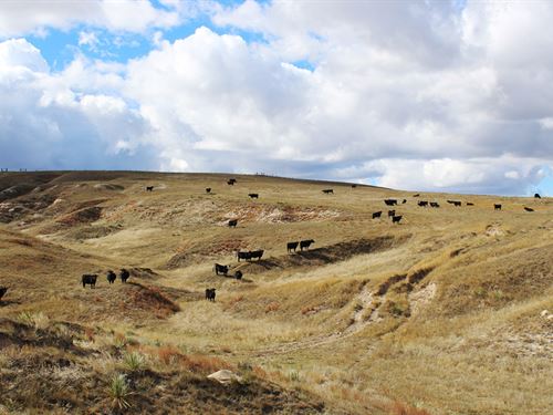 BX Ranch in Nebraska : Hemingford : Box Butte County : Nebraska
