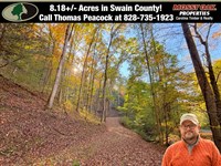 8.18 Creekfront Acres in Bryson : Bryson City : Swain County : North Carolina