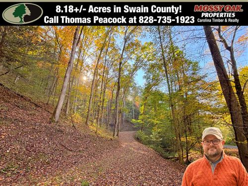8.18 Creekfront Acres in Bryson : Bryson City : Swain County : North Carolina